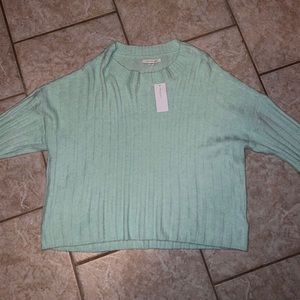 American Eagle Fleece Sweater